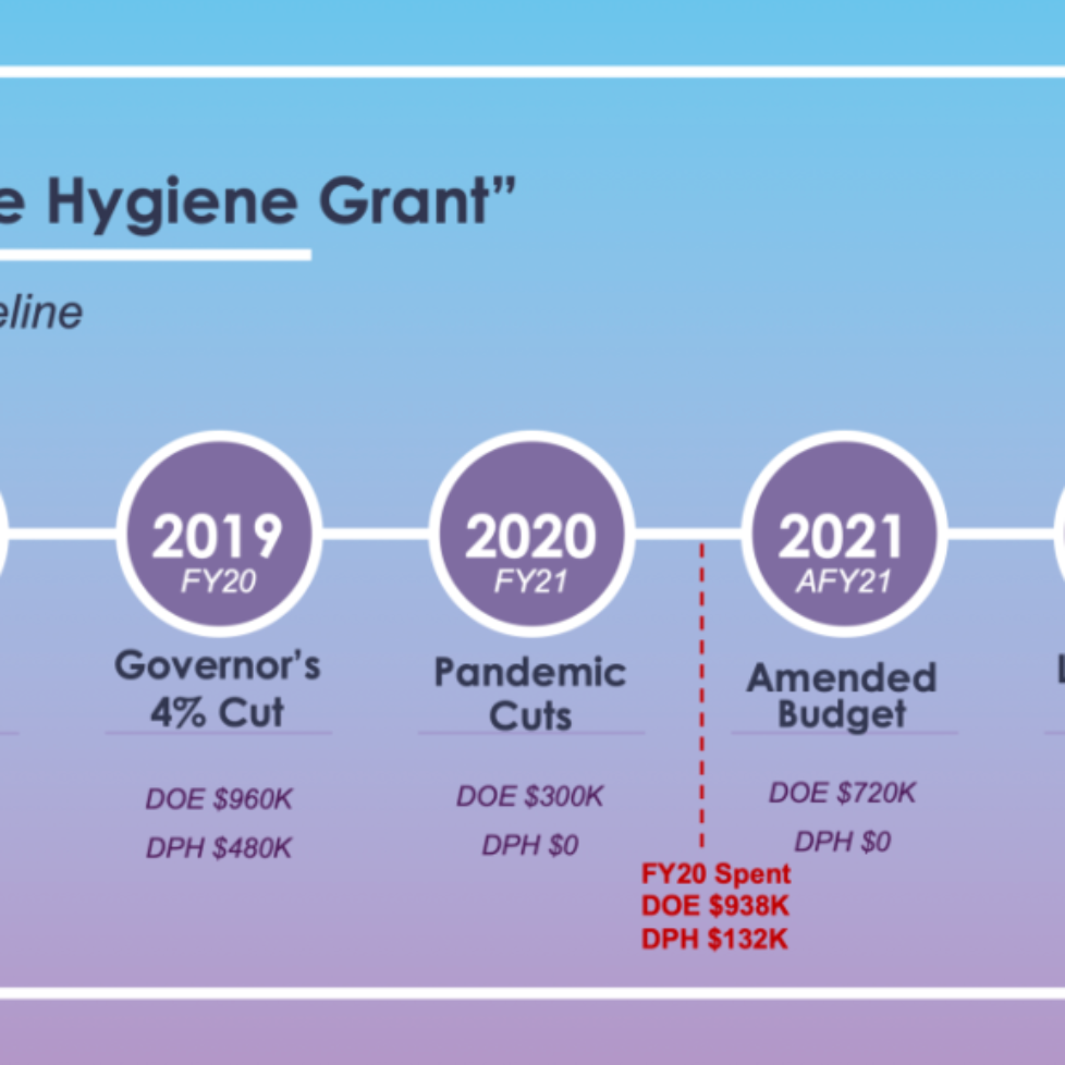Feminine Hygiene Grant Funding Timeline